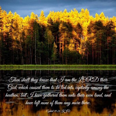 Picture 03 - Ezekiel 39:28 KJV - Then shall they know that I am the LORD their - Bible Verse Picture