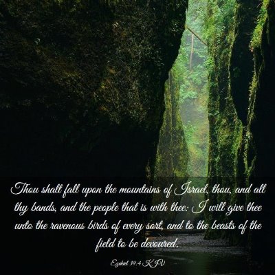 Picture 03 - Ezekiel 39:4 KJV - Thou shalt fall upon the mountains of Israel, - Bible Verse Picture
