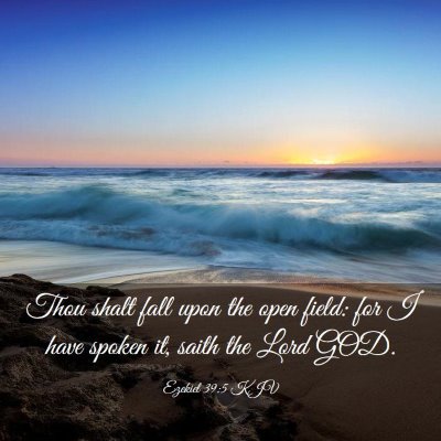 Picture 03 - Ezekiel 39:5 KJV - Thou shalt fall upon the open field: for I have - Bible Verse Picture