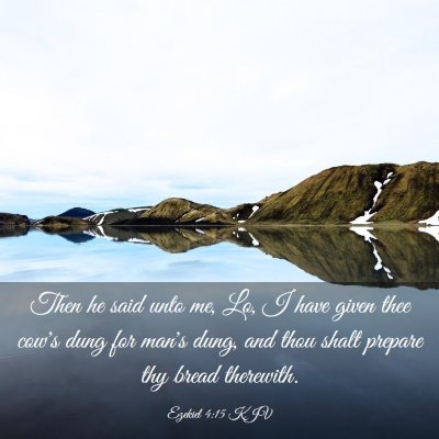 Picture 03 - Ezekiel 4:15 KJV - Then he said unto me, Lo, I have given thee cow's - Bible Verse Picture