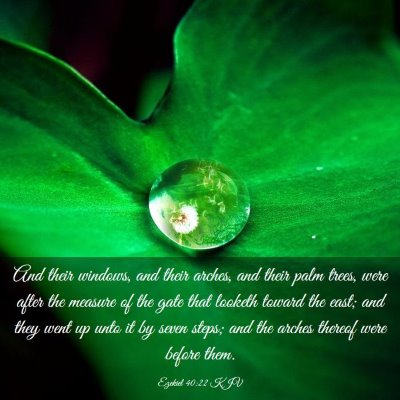 Picture 03 - Ezekiel 40:22 KJV - And their windows, and their arches, and their - Bible Verse Picture
