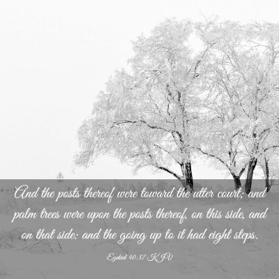 Picture 03 - Ezekiel 40:37 KJV - And the posts thereof were toward the utter - Bible Verse Picture