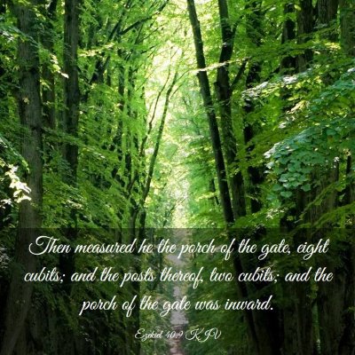 Picture 03 - Ezekiel 40:9 KJV - Then measured he the porch of the gate, eight - Bible Verse Picture