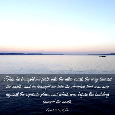 Picture 03 - Ezekiel 42:1 KJV - Then he brought me forth into the utter court, - Bible Verse Picture