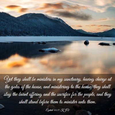 Picture 03 - Ezekiel 44:11 KJV - Yet they shall be ministers in my sanctuary, - Bible Verse Picture