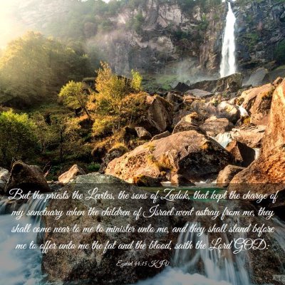 Picture 03 - Ezekiel 44:15 KJV - But the priests the Levites, the sons of Zadok, - Bible Verse Picture
