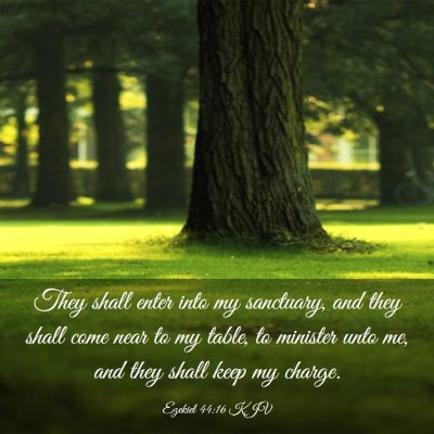 Picture 03 - Ezekiel 44:16 KJV - They shall enter into my sanctuary, and they - Bible Verse Picture