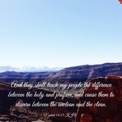 Picture 03 - Ezekiel 44:23 KJV - And they shall teach my people the difference - Bible Verse Picture