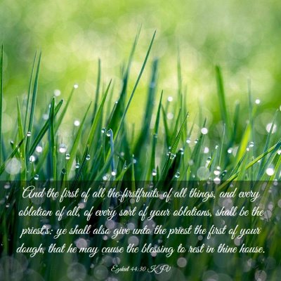 Picture 03 - Ezekiel 44:30 KJV - And the first of all the firstfruits of all - Bible Verse Picture