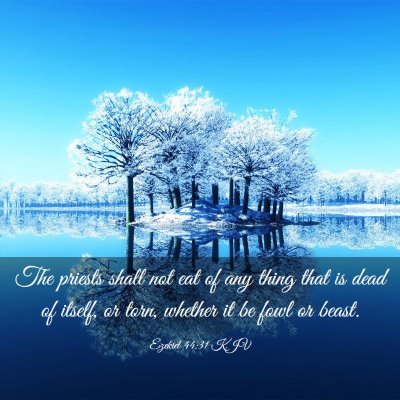 Picture 03 - Ezekiel 44:31 KJV - The priests shall not eat of any thing that is - Bible Verse Picture
