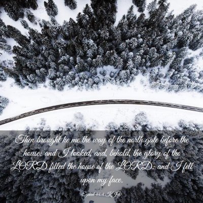 Picture 03 - Ezekiel 44:4 KJV - Then brought he me the way of the north gate - Bible Verse Picture