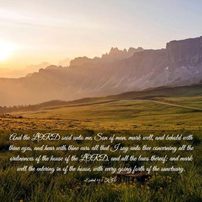Picture 03 - Ezekiel 44:5 KJV - And the LORD said unto me, Son of man, mark well, - Bible Verse Picture