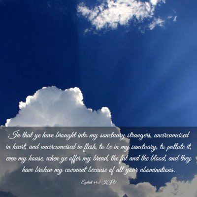 Picture 03 - Ezekiel 44:7 KJV - In that ye have brought into my sanctuary - Bible Verse Picture