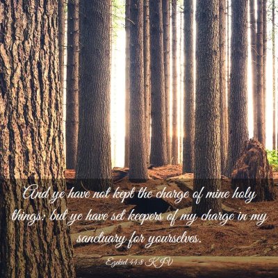 Picture 03 - Ezekiel 44:8 KJV - And ye have not kept the charge of mine holy - Bible Verse Picture