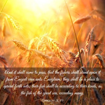 Picture 03 - Ezekiel 47:10 KJV - And it shall come to pass, that the fishers shall - Bible Verse Picture