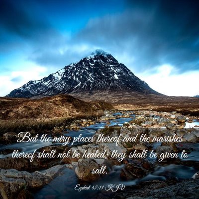 Picture 03 - Ezekiel 47:11 KJV - But the miry places thereof and the marishes - Bible Verse Picture
