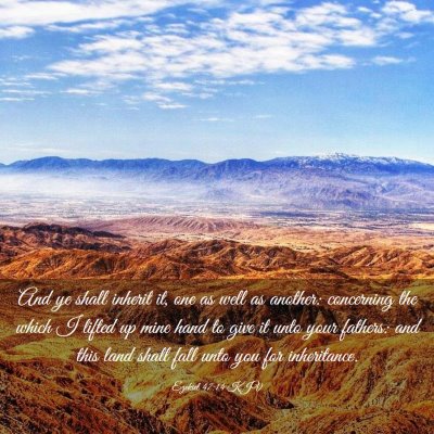 Picture 03 - Ezekiel 47:14 KJV - And ye shall inherit it, one as well as another: - Bible Verse Picture