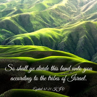Picture 03 - Ezekiel 47:21 KJV - So shall ye divide this land unto you according - Bible Verse Picture