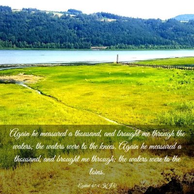 Picture 03 - Ezekiel 47:4 KJV - Again he measured a thousand, and brought me - Bible Verse Picture