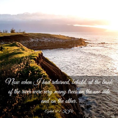 Picture 03 - Ezekiel 47:7 KJV - Now when I had returned, behold, at the bank of - Bible Verse Picture