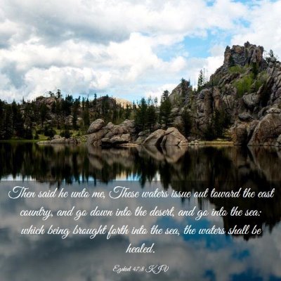 Picture 03 - Ezekiel 47:8 KJV - Then said he unto me, These waters issue out - Bible Verse Picture
