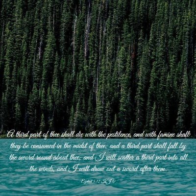 Picture 03 - Ezekiel 5:12 KJV - A third part of thee shall die with the - Bible Verse Picture