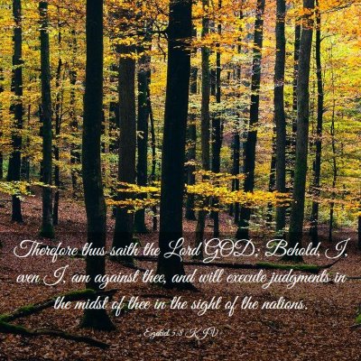 Picture 03 - Ezekiel 5:8 KJV - Therefore thus saith the Lord GOD; Behold, I, - Bible Verse Picture