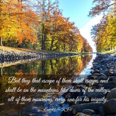 Picture 03 - Ezekiel 7:16 KJV - But they that escape of them shall escape, and - Bible Verse Picture