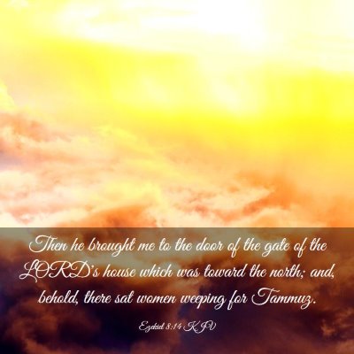 Picture 03 - Ezekiel 8:14 KJV - Then he brought me to the door of the gate of the - Bible Verse Picture
