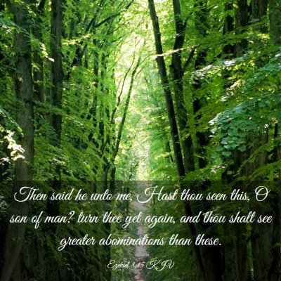 Picture 03 - Ezekiel 8:15 KJV - Then said he unto me, Hast thou seen this, O son - Bible Verse Picture