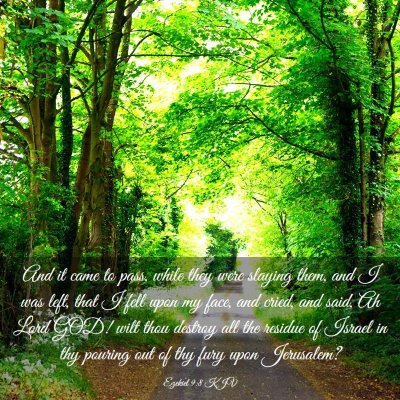 Picture 03 - Ezekiel 9:8 KJV - And it came to pass, while they were slaying - Bible Verse Picture