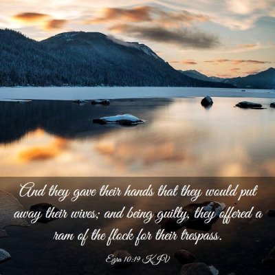 Picture 03 - Ezra 10:19 KJV - And they gave their hands that they would put - Bible Verse Picture