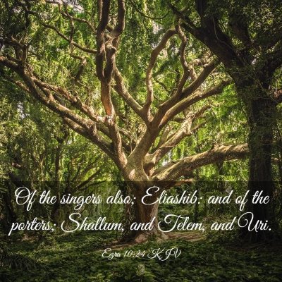 Picture 03 - Ezra 10:24 KJV - Of the singers also; Eliashib: and of the - Bible Verse Picture