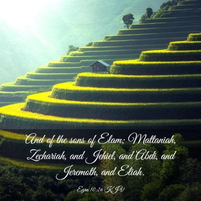 Picture 03 - Ezra 10:26 KJV - And of the sons of Elam; Mattaniah, Zechariah, - Bible Verse Picture