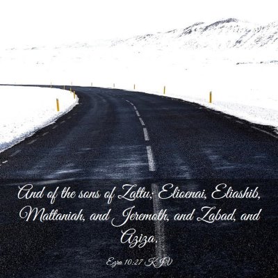 Picture 03 - Ezra 10:27 KJV - And of the sons of Zattu; Elioenai, Eliashib, - Bible Verse Picture