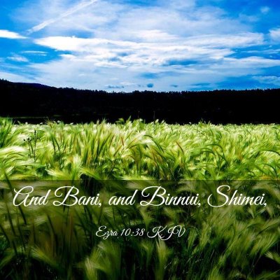 Picture 03 - Ezra 10:38 KJV - And Bani, and Binnui, - Bible Verse Picture