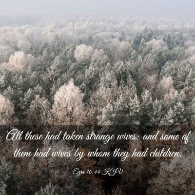 Picture 03 - Ezra 10:44 KJV - All these had taken strange wives: and some of - Bible Verse Picture