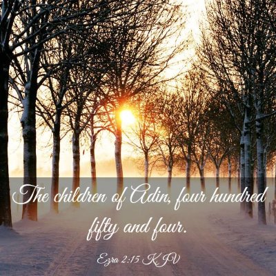 Picture 03 - Ezra 2:15 KJV - The children of Adin, four hundred fifty and - Bible Verse Picture