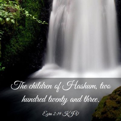 Picture 03 - Ezra 2:19 KJV - The children of Hashum, two hundred twenty and - Bible Verse Picture