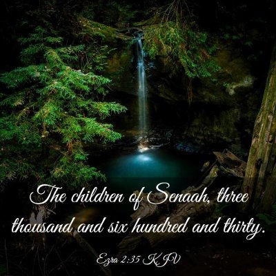Picture 03 - Ezra 2:35 KJV - The children of Senaah, three thousand and six - Bible Verse Picture