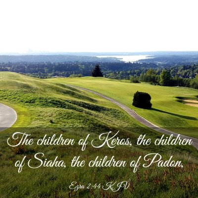 Picture 03 - Ezra 2:44 KJV - The children of Keros, the children of Siaha, the - Bible Verse Picture