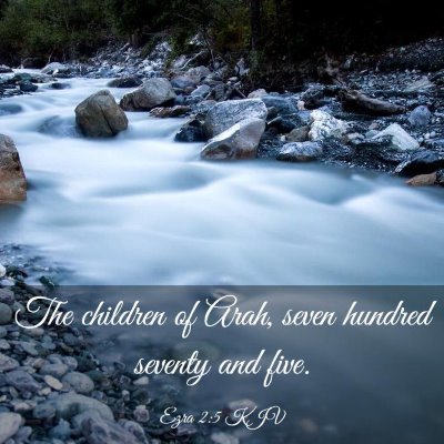Picture 03 - Ezra 2:5 KJV - The children of Arah, seven hundred seventy and - Bible Verse Picture