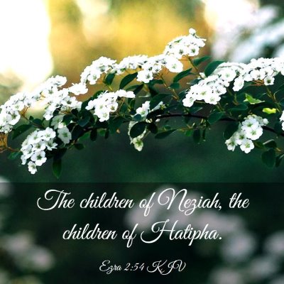 Picture 03 - Ezra 2:54 KJV - The children of Neziah, the children of - Bible Verse Picture