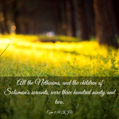 Picture 03 - Ezra 2:58 KJV - All the Nethinims, and the children of Solomon's - Bible Verse Picture