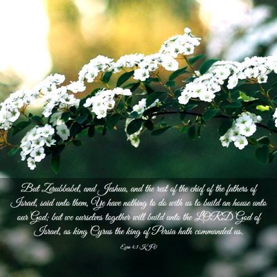 Picture 03 - Ezra 4:3 KJV - But Zerubbabel, and Jeshua, and the rest of the - Bible Verse Picture