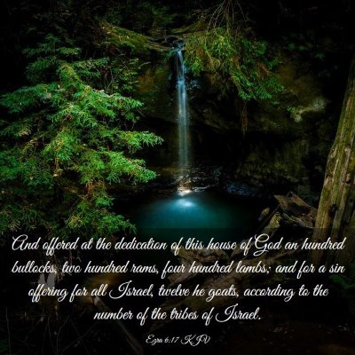 Picture 03 - Ezra 6:17 KJV - And offered at the dedication of this house of - Bible Verse Picture