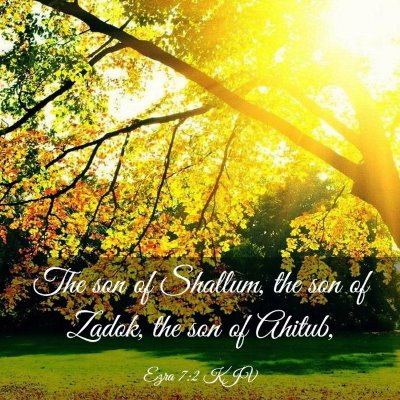 Picture 03 - Ezra 7:2 KJV - The son of Shallum, the son of Zadok, the son of - Bible Verse Picture