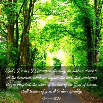 Picture 03 - Ezra 7:21 KJV - And I, even I Artaxerxes the king, do make a - Bible Verse Picture