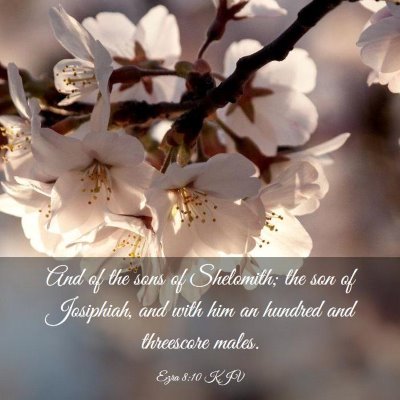 Picture 03 - Ezra 8:10 KJV - And of the sons of Shelomith; the son of - Bible Verse Picture