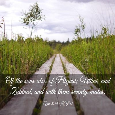 Picture 03 - Ezra 8:14 KJV - Of the sons also of Bigvai; Uthai, and Zabbud, - Bible Verse Picture